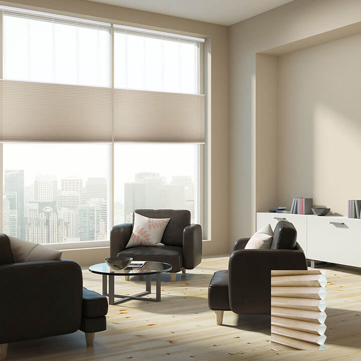 Brescia Cordless Top Down Bottom Up Light-Filtering Honeycomb Blinds Pongee