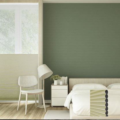 Brescia Cordless Day And Night Blackout Honeycomb Blinds Spring Green